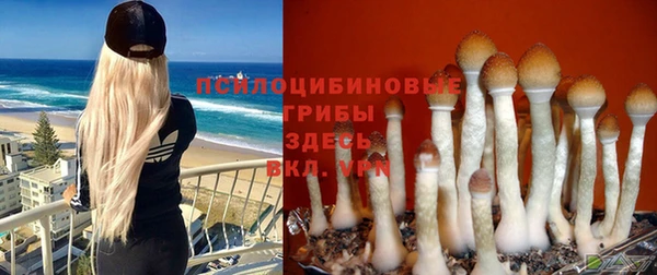трава Алзамай