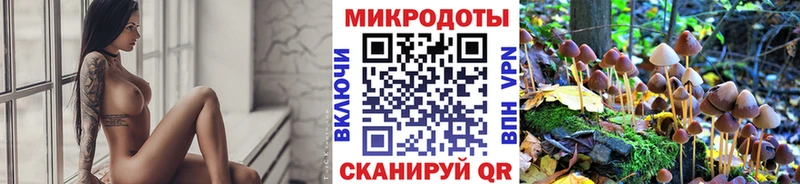 наркота  shop официальный сайт  Псилоцибиновые грибы Magic Shrooms  Хвалынск 
