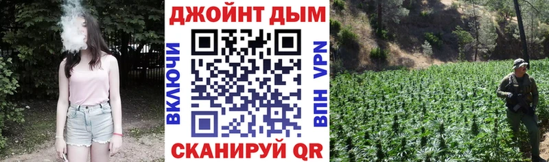 Шишки марихуана OG Kush  купить  цена  кракен зеркало  Хвалынск 
